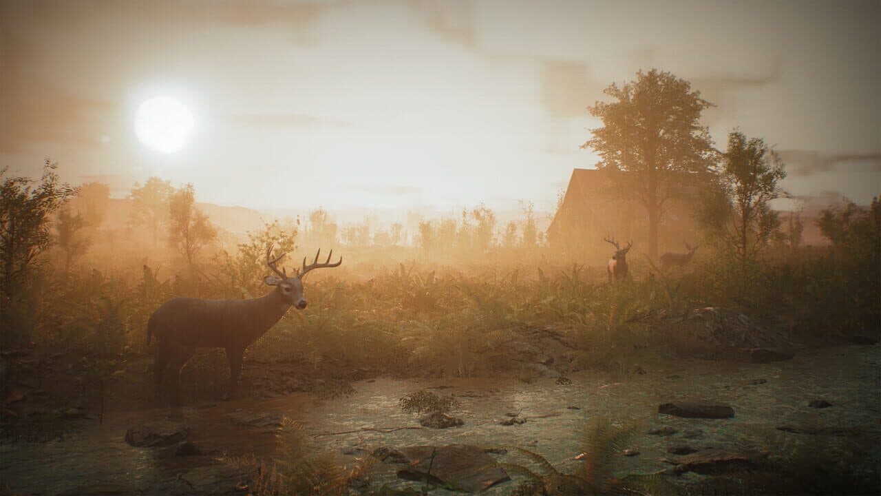 Morels: The Hunt thumbnail 4