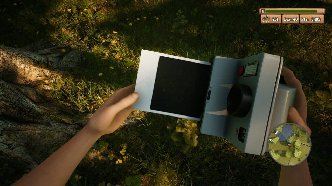 Morels: The Hunt thumbnail 5