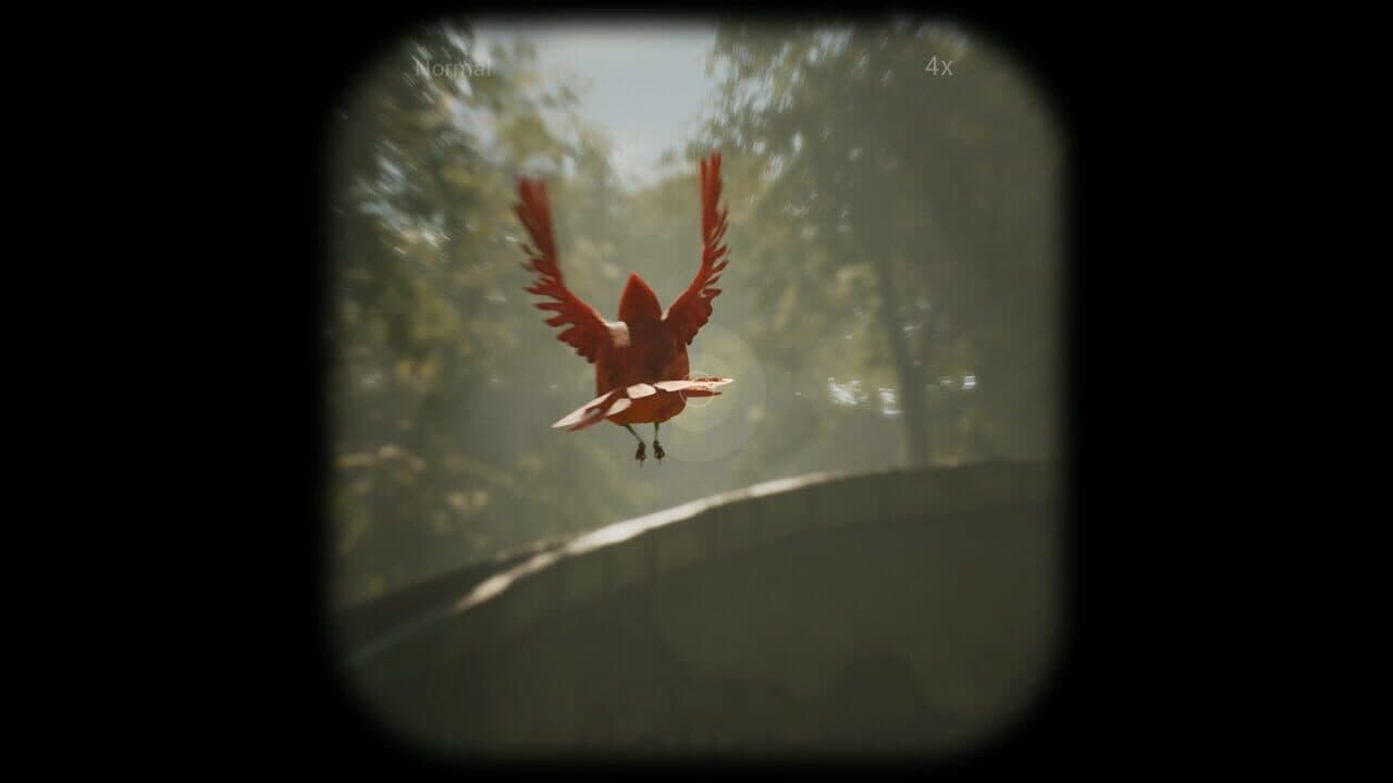 Morels: The Hunt thumbnail 7