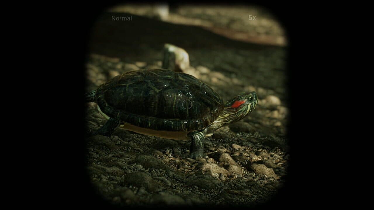 Morels: The Hunt thumbnail 2