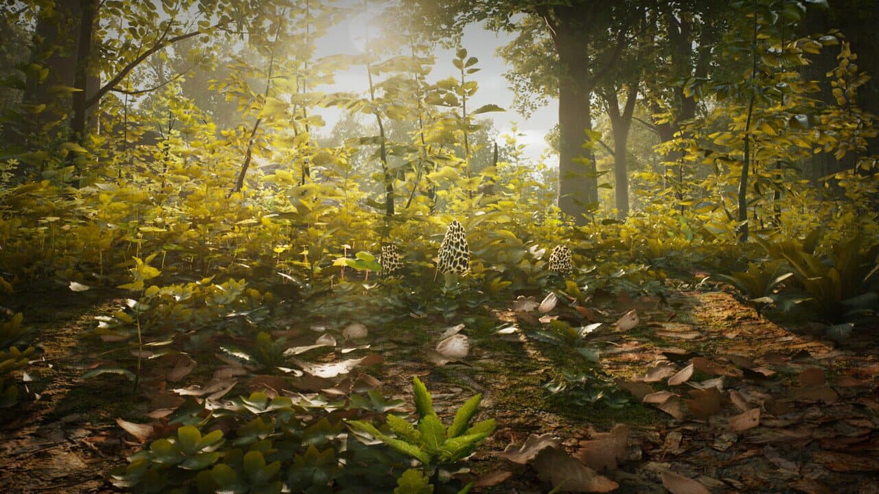 Morels: The Hunt thumbnail 12