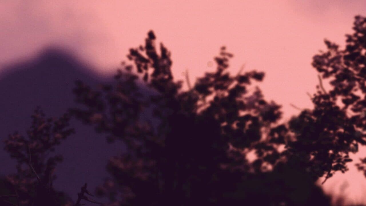 I Like Walking Very Much screenshot 1