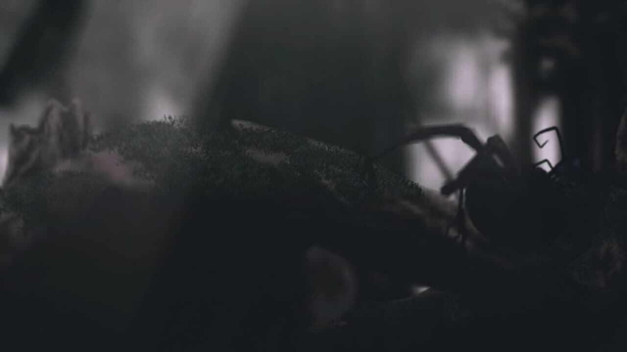 I Like Walking Very Much thumbnail 6