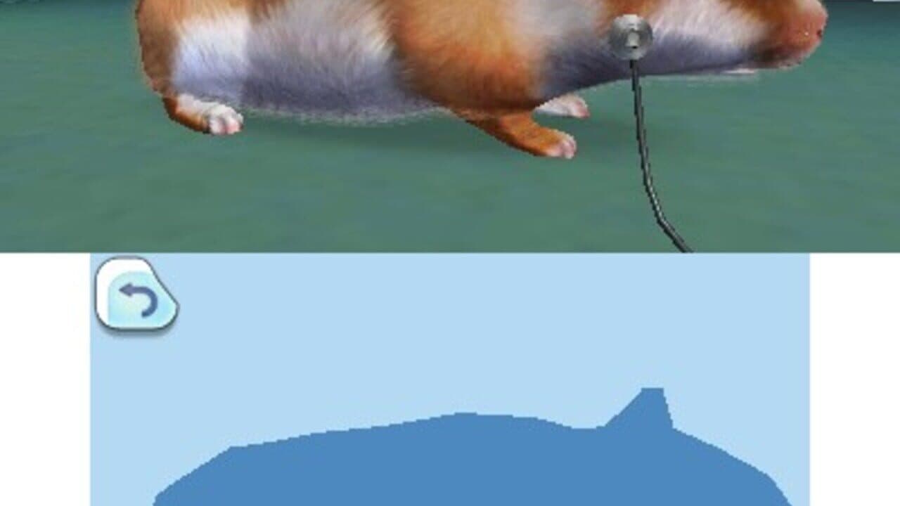 Animal Hospital screenshot 1