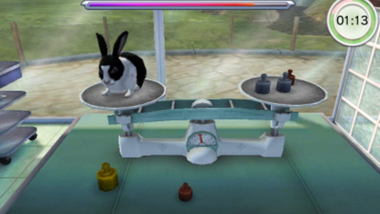 Animal Hospital thumbnail 3
