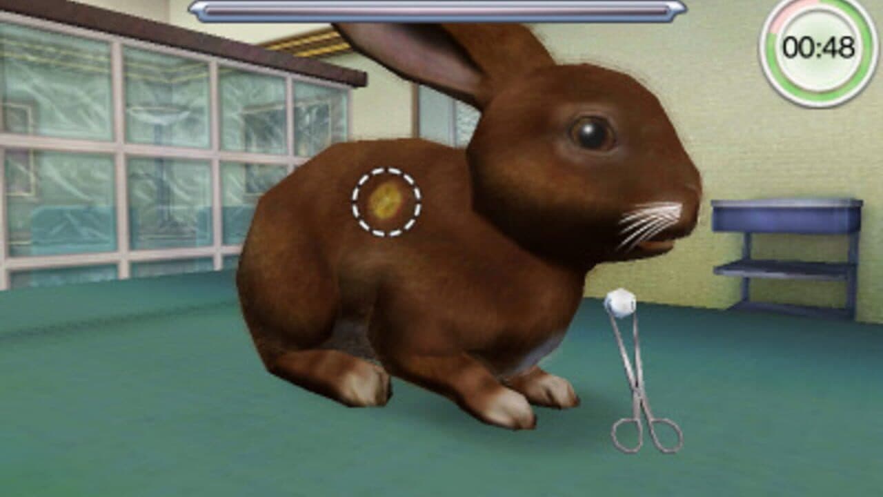 Animal Hospital thumbnail 2