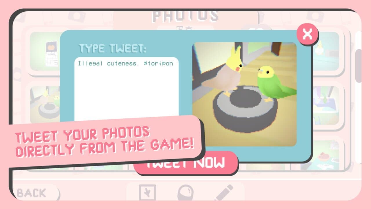 Toripon thumbnail 8