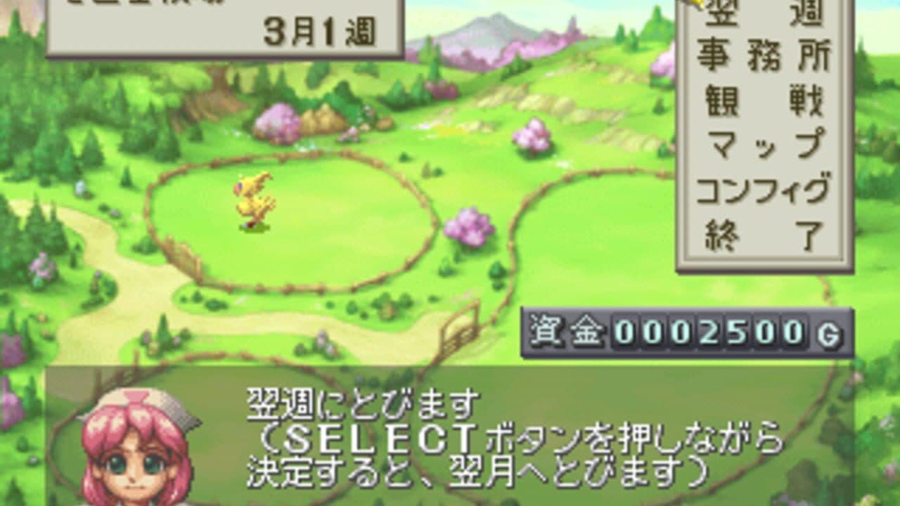 Chocobo Stallion thumbnail 2