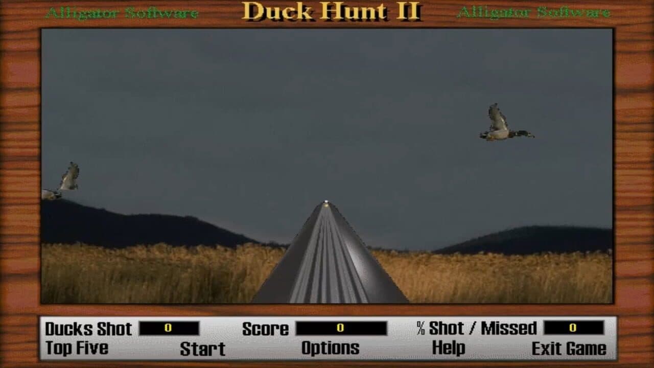 Duck Hunt 2 thumbnail 8