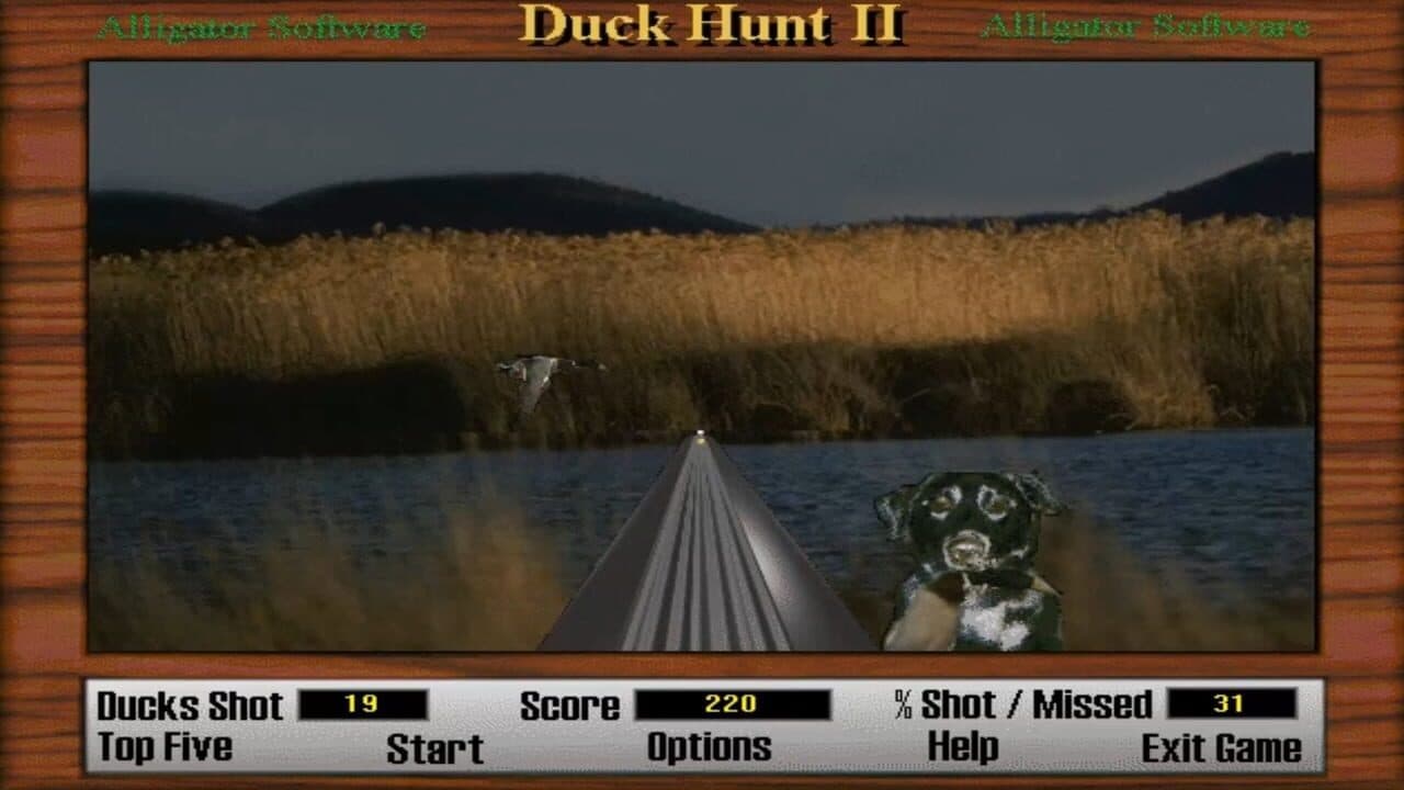 Duck Hunt 2 thumbnail 5