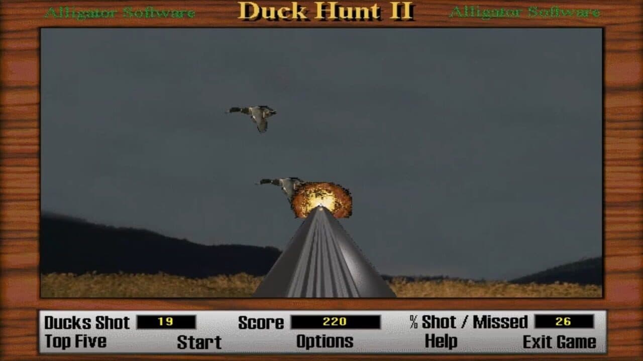 Duck Hunt 2 thumbnail 6