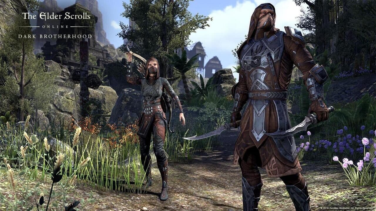 The Elder Scrolls Online: Dark Brotherhood thumbnail 3