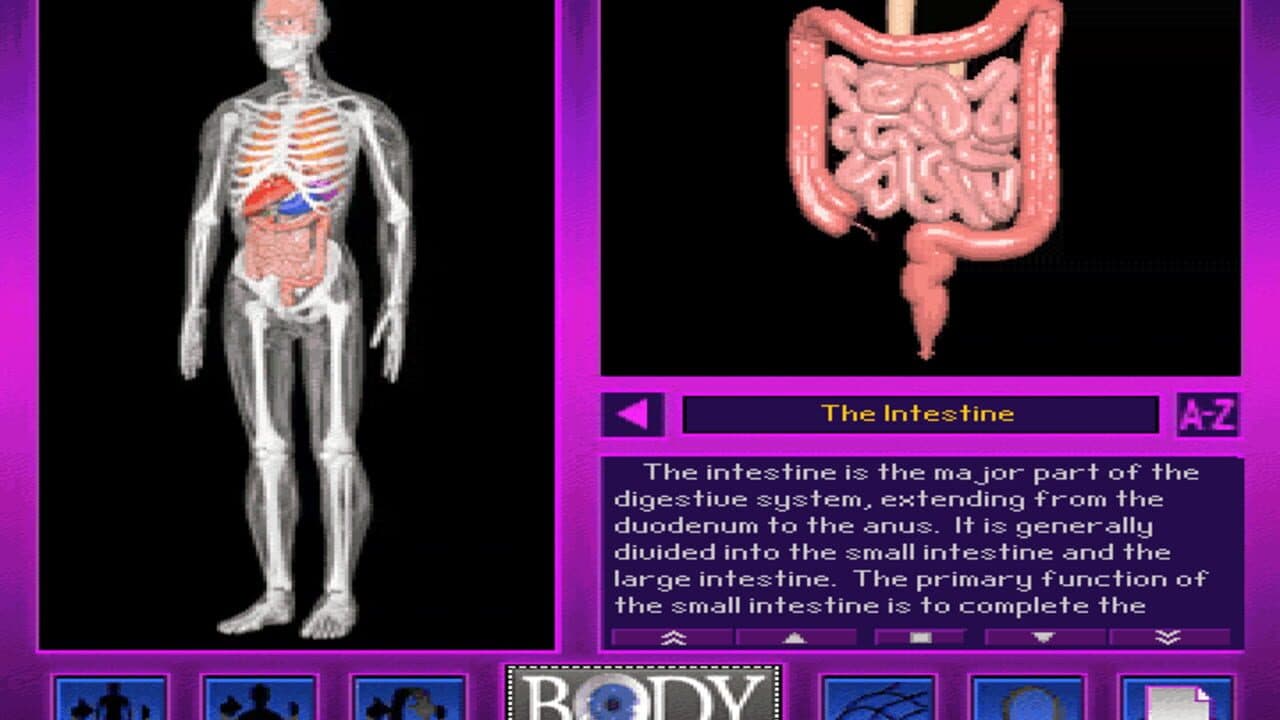 3D Body Adventure thumbnail 3