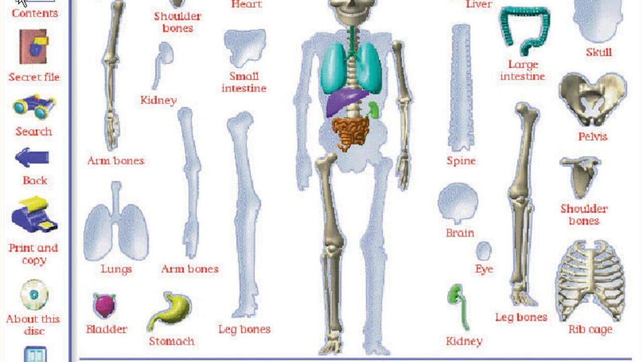 My Amazing Human Body thumbnail 4