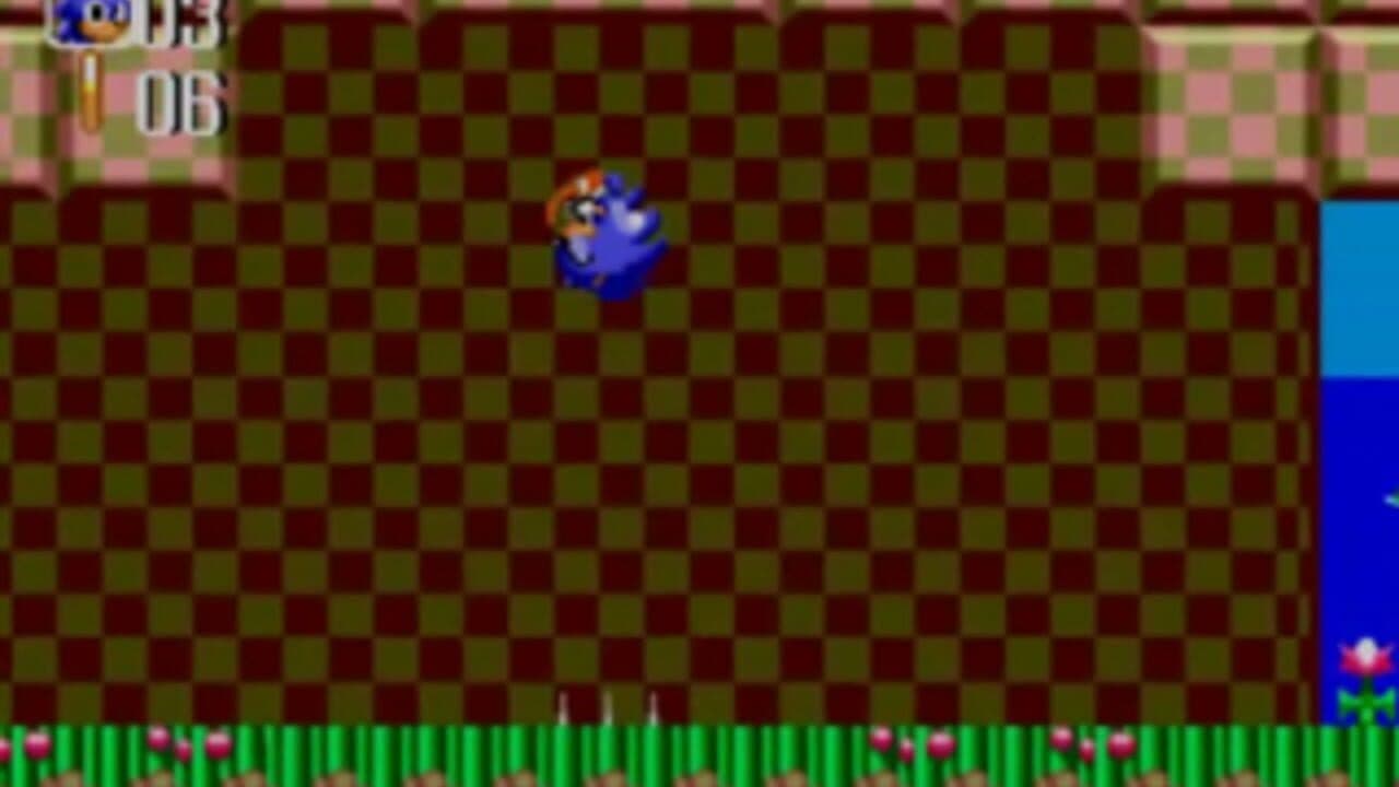 Sonic the Hedgehog Chaos thumbnail 11