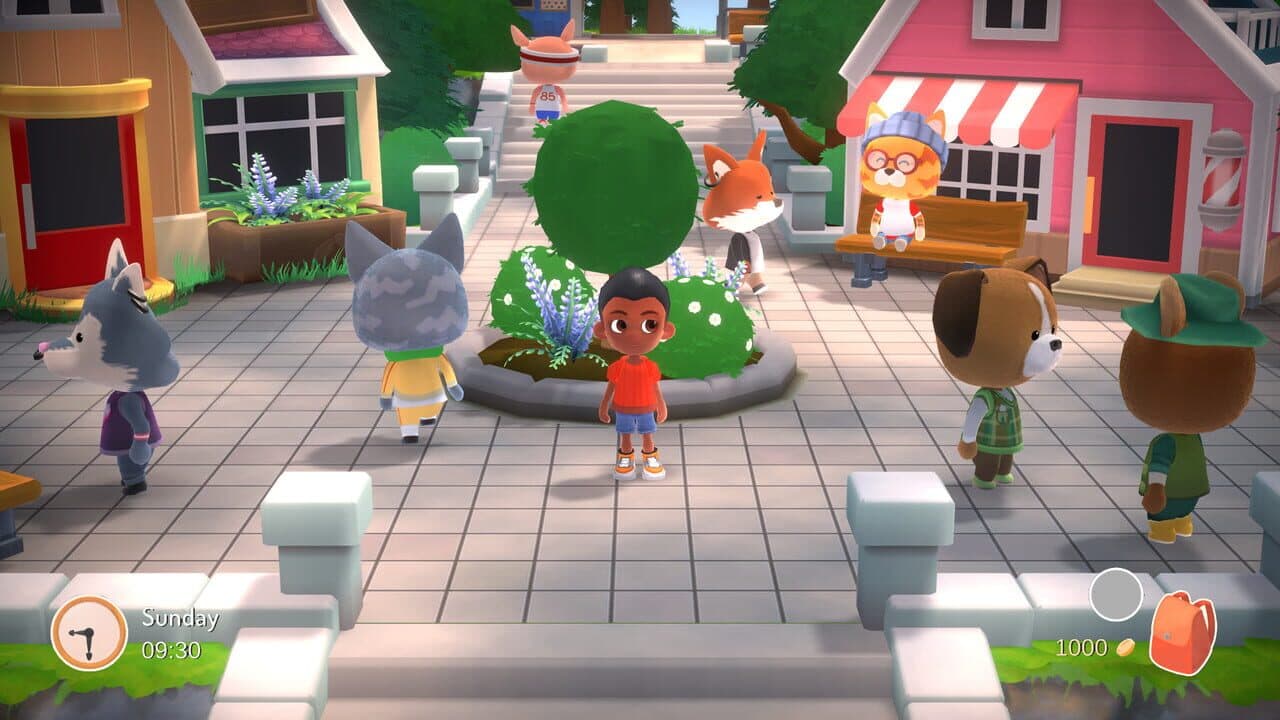 Hokko Life thumbnail 2