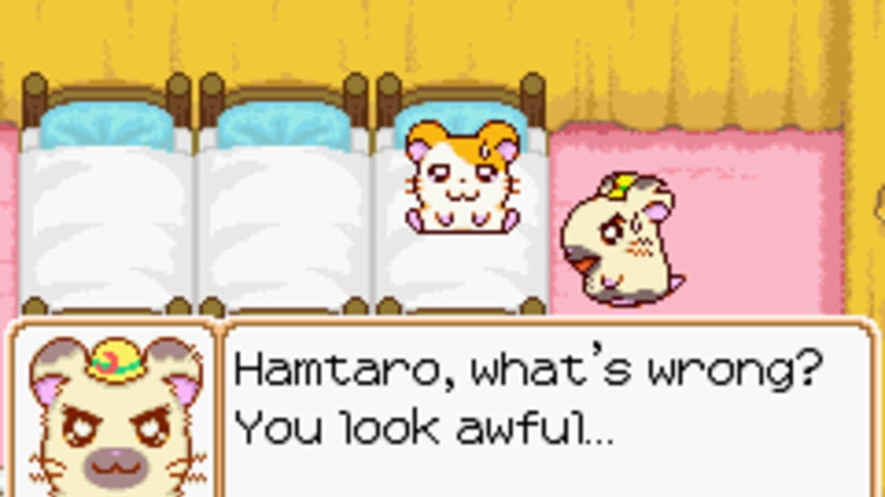 Hamtaro: Ham-Ham Heartbreak thumbnail 8