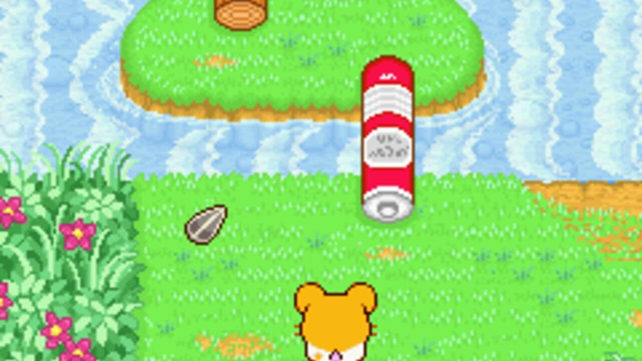 Hamtaro: Ham-Ham Heartbreak thumbnail 2