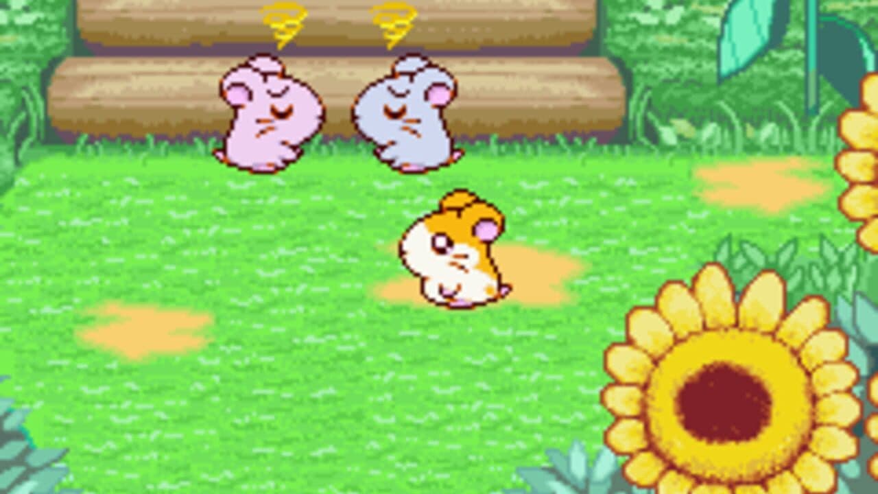 Hamtaro: Ham-Ham Heartbreak thumbnail 6