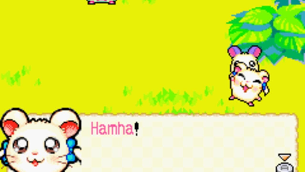 Hamtaro: Rainbow Rescue thumbnail 2