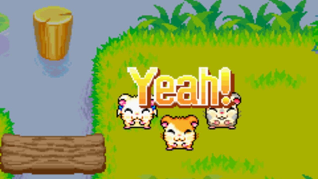 Hamtaro: Rainbow Rescue thumbnail 10