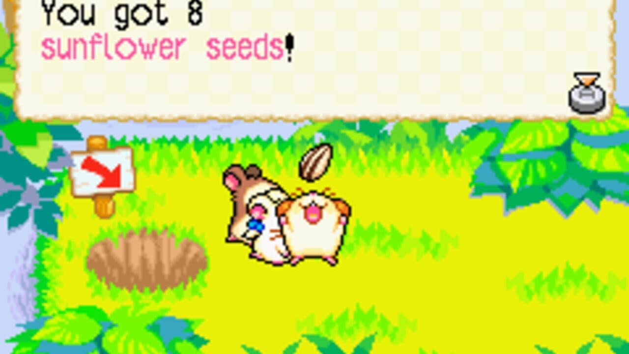 Hamtaro: Rainbow Rescue thumbnail 9