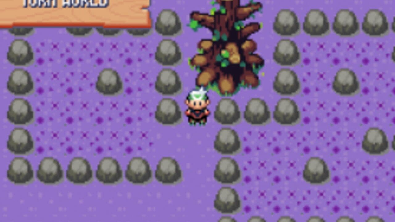 Pokémon Flora Sky thumbnail 5