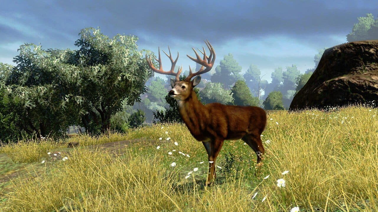 Cabela's Outdoor Adventures thumbnail 2