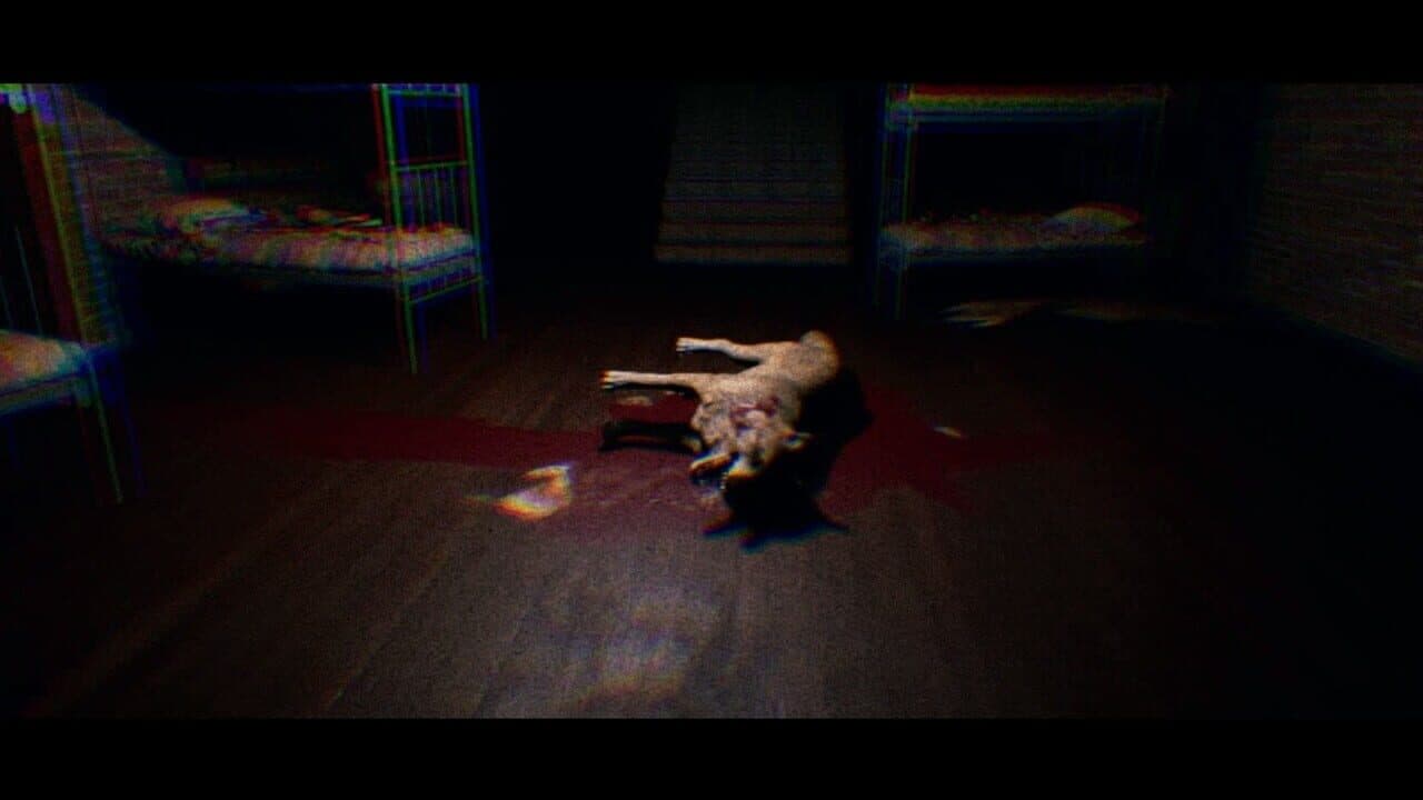 Taxidermy thumbnail 3