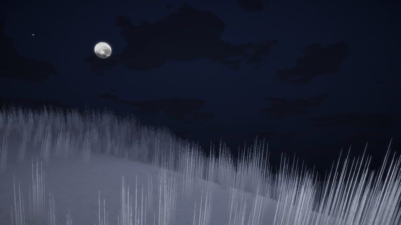 Driftwood thumbnail 4