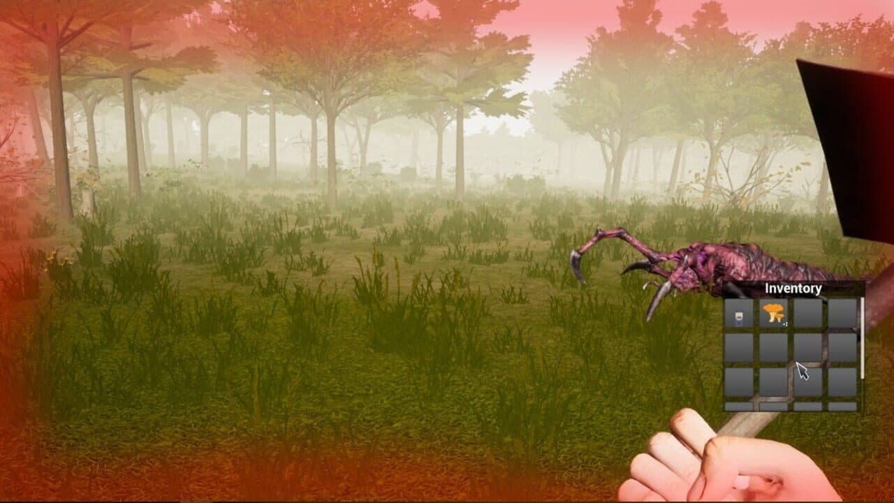 Forest Woodman thumbnail 2