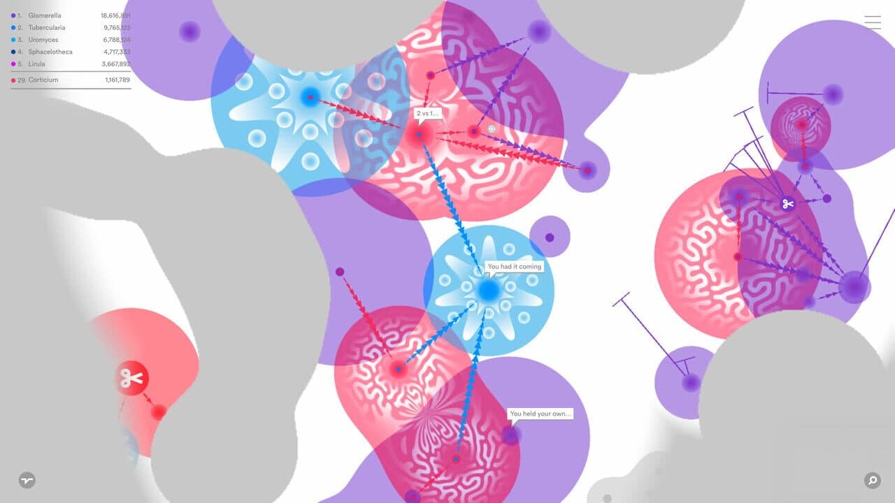 Fungi thumbnail 7