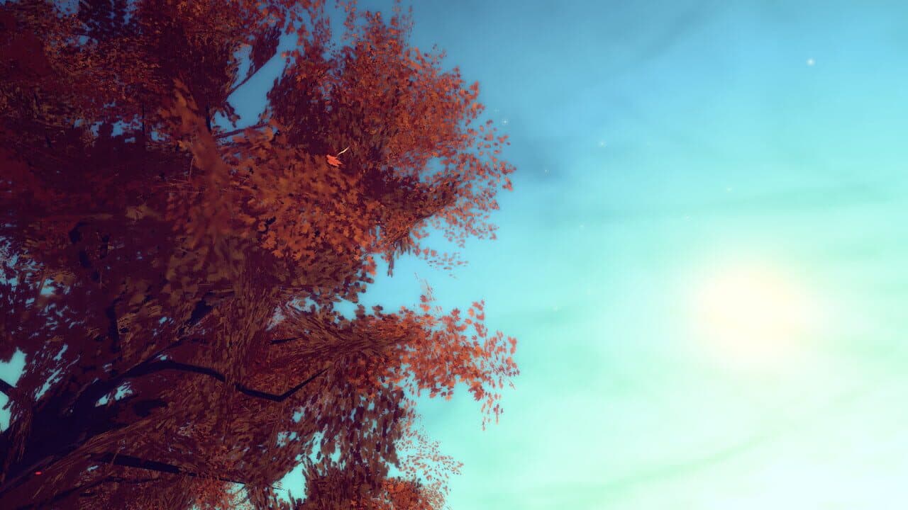 Sea of Leaves thumbnail 3