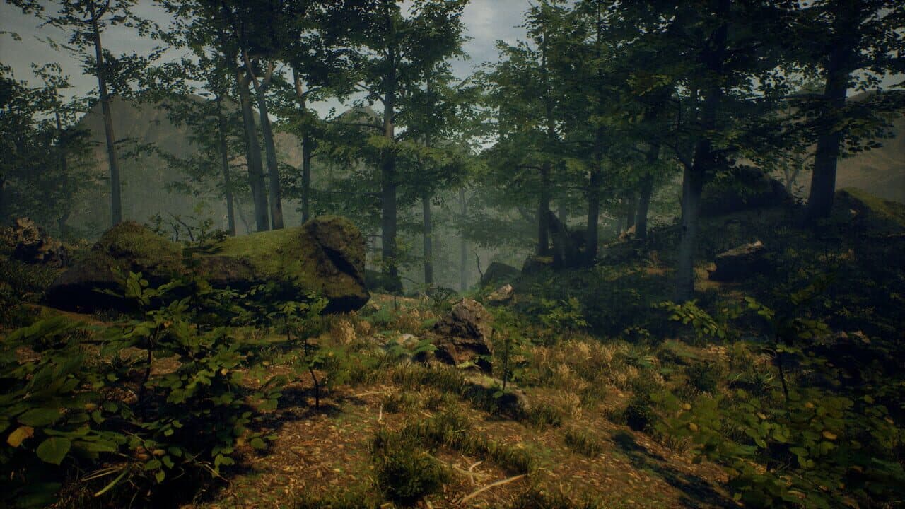 Folklore Hunter thumbnail 8