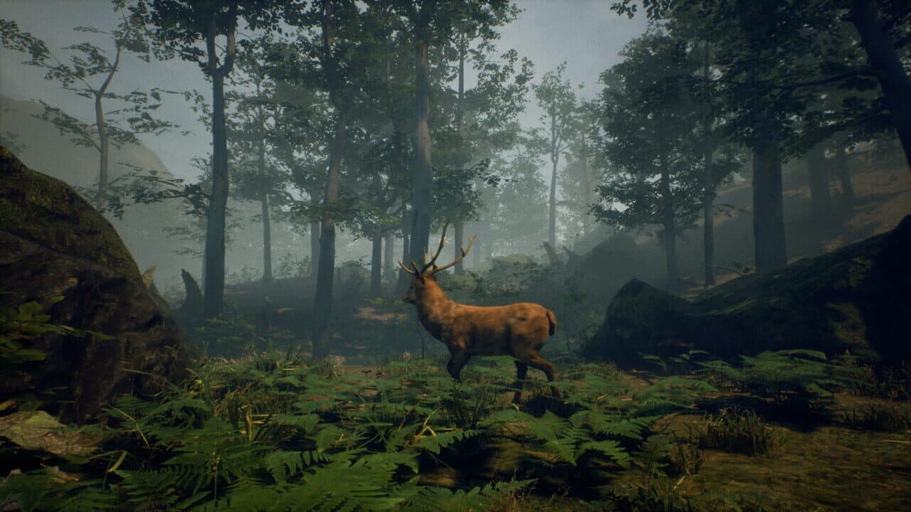 Folklore Hunter thumbnail 4