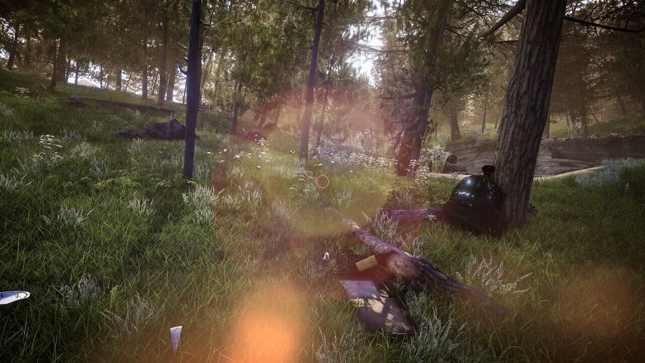 Forest Ranger Simulator thumbnail 9