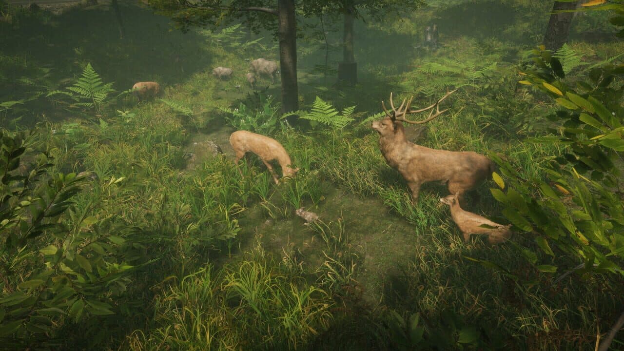 Natural Instincts thumbnail 4