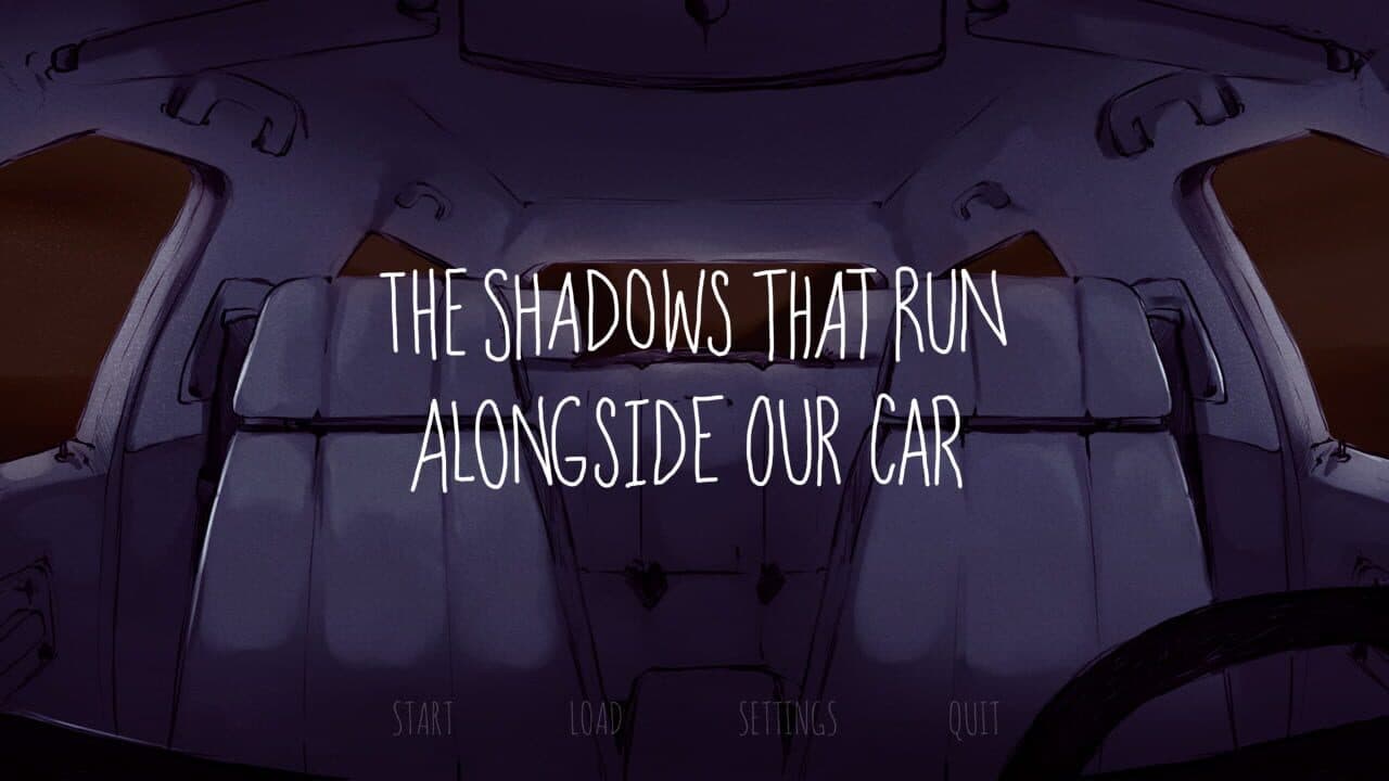 The Shadows That Run Alongside Our Car thumbnail 3