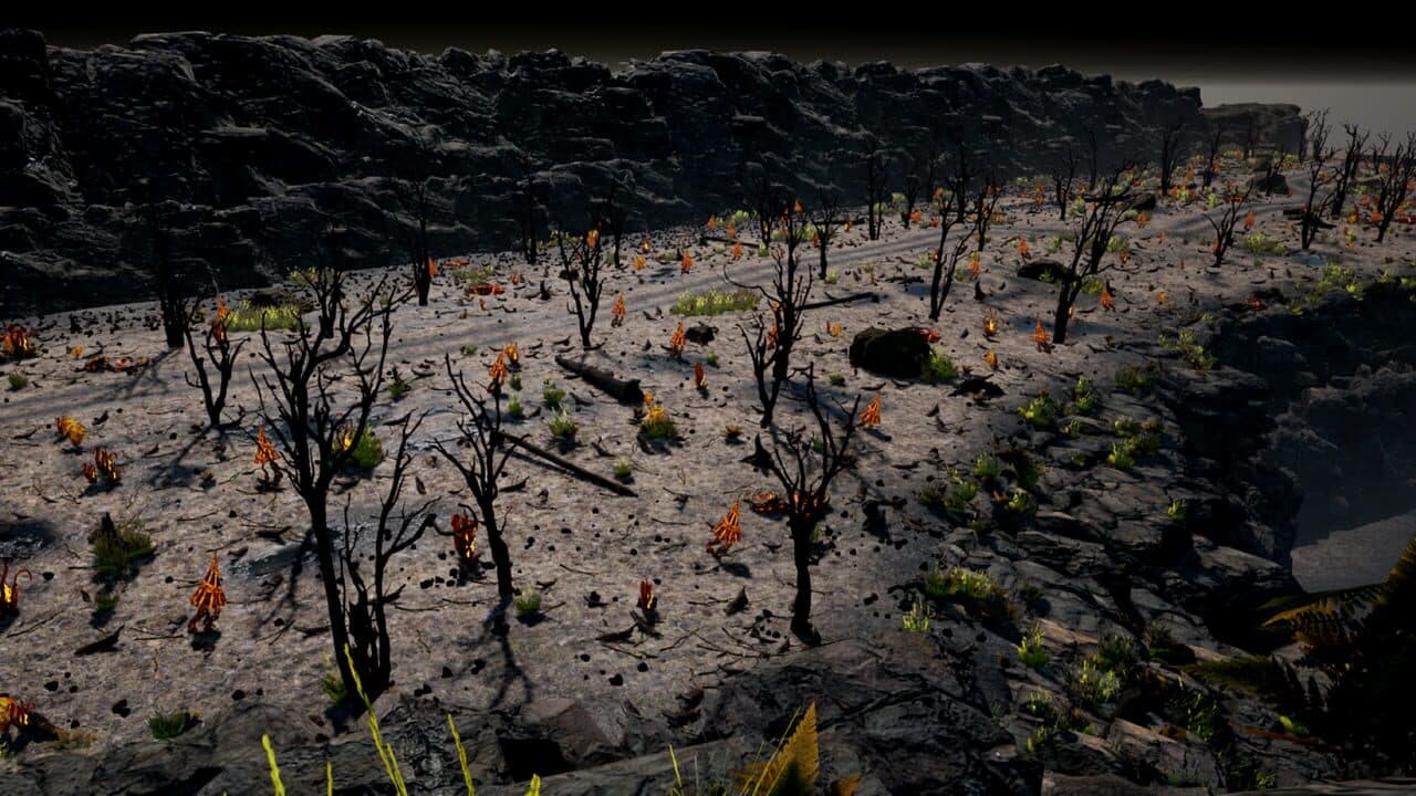 Natural Balance: Chronicles thumbnail 5
