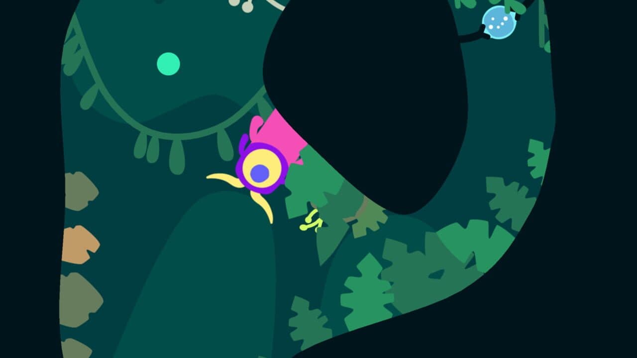 Ordia thumbnail 2
