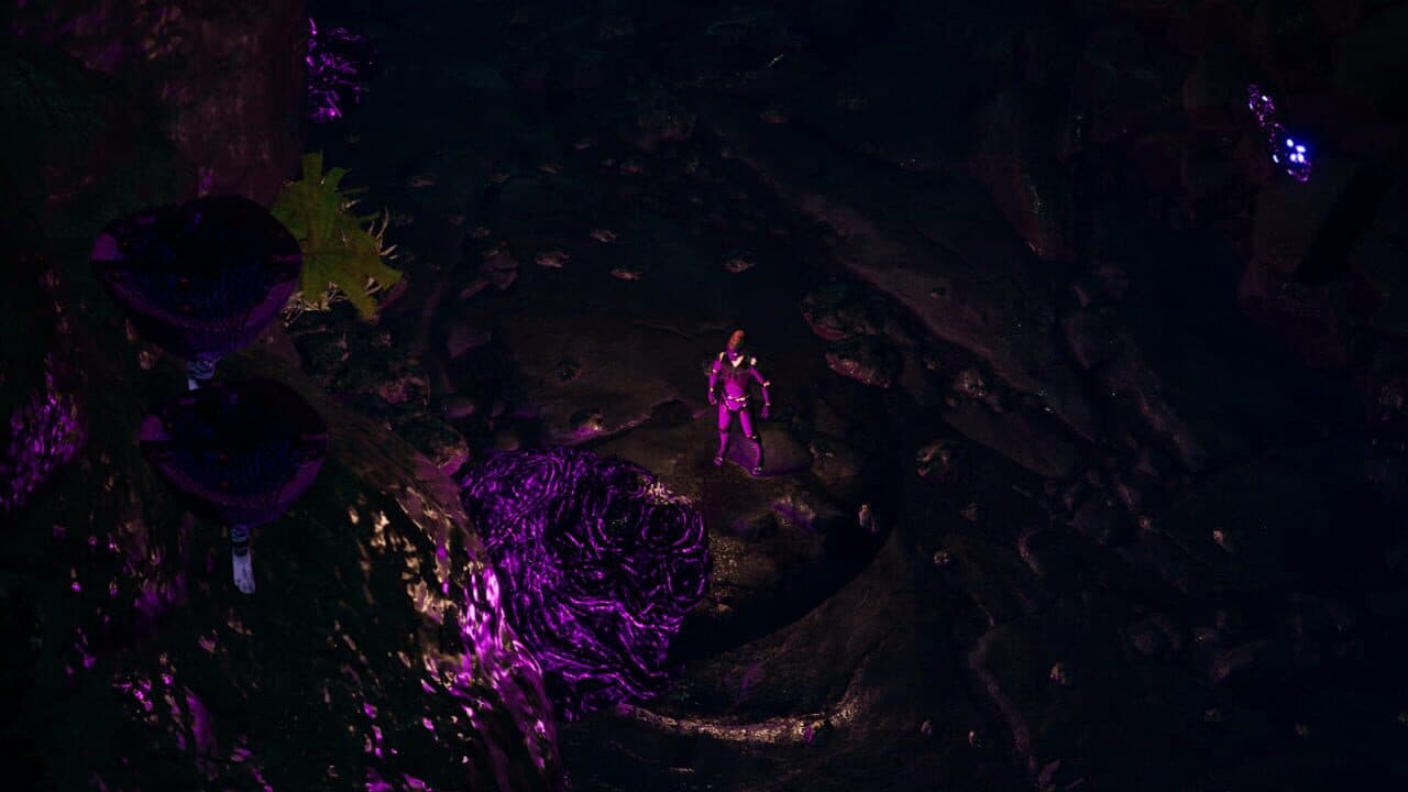 Natural Balance: Chronicles thumbnail 7