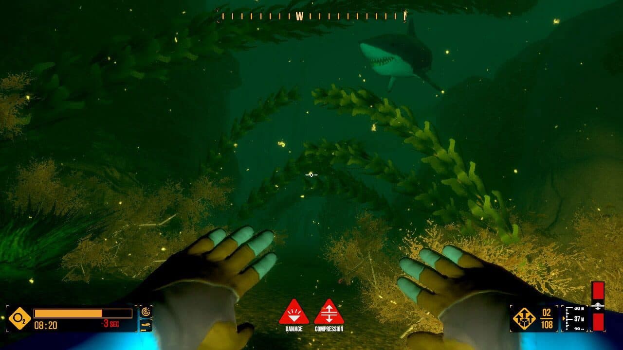 Deep Diving Adventures thumbnail 2