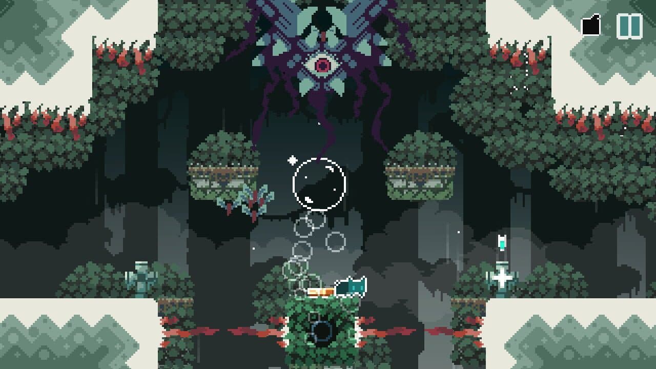 Nameless Cat thumbnail 4