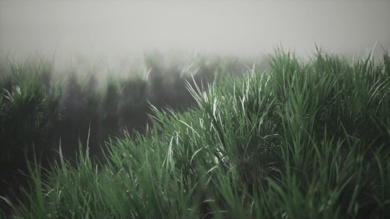 Mýrdalssandur, Iceland thumbnail 6