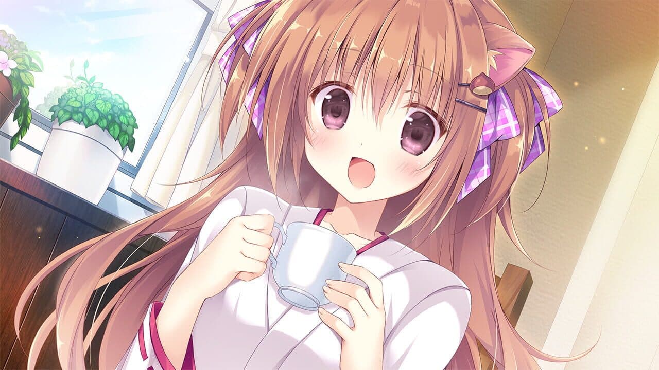 Amairo Chocolate thumbnail 3