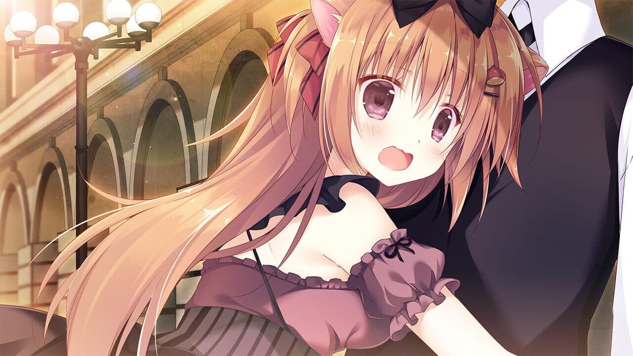Amairo Chocolate thumbnail 2
