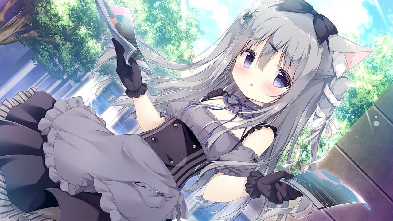 Amairo Chocolate thumbnail 5