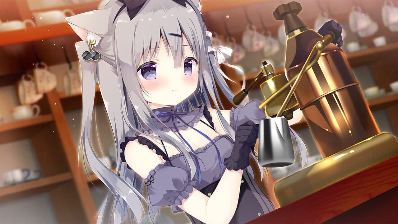 Amairo Chocolate thumbnail 6
