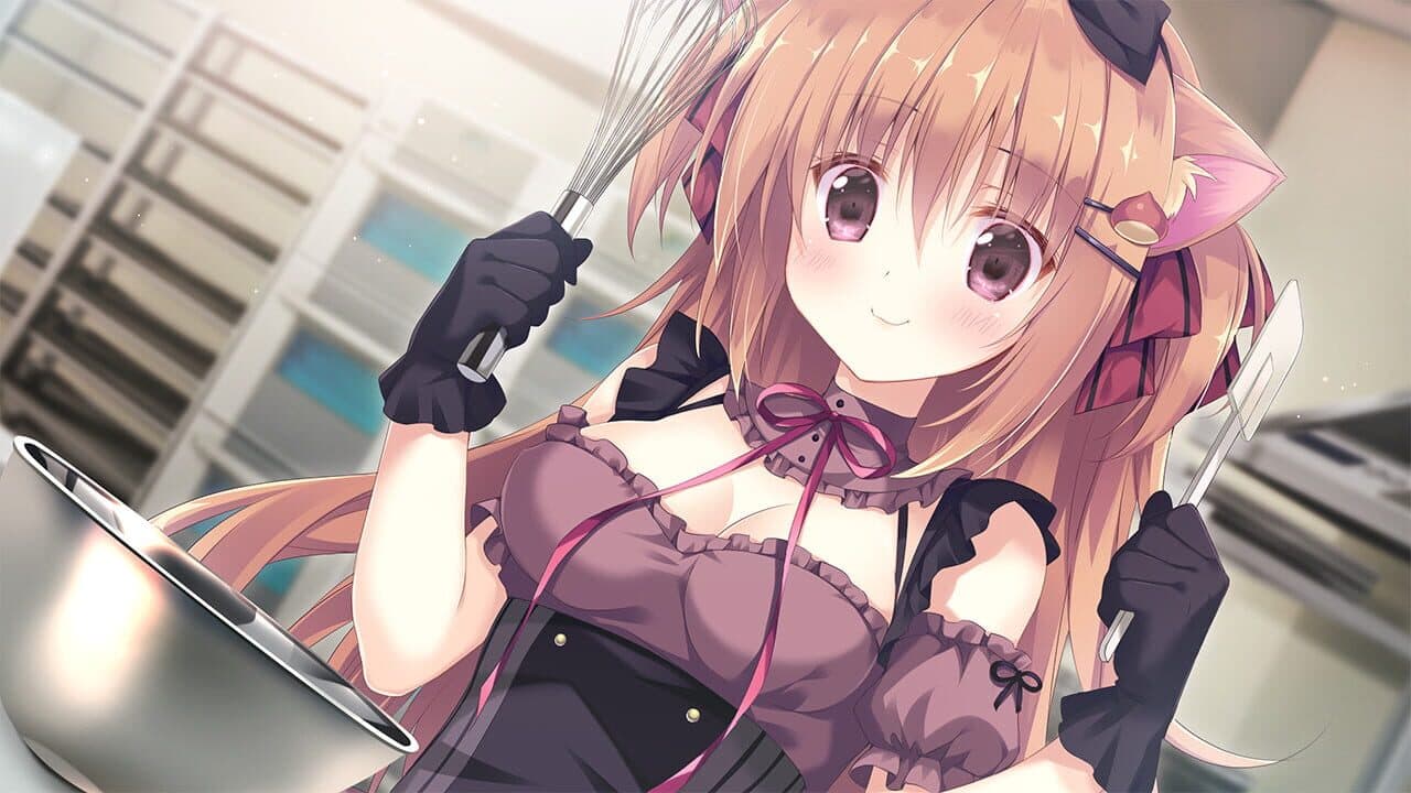Amairo Chocolate thumbnail 9
