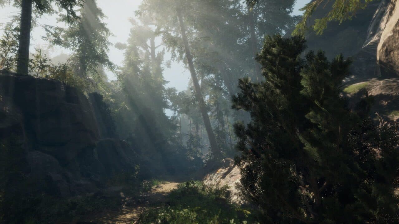 A Walk in the Woods: VR thumbnail 4
